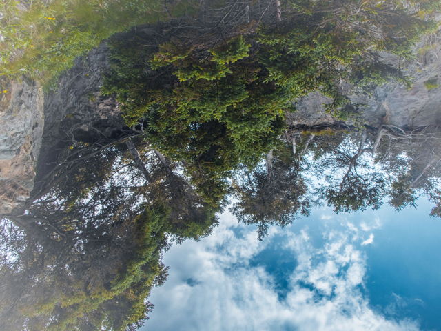 Reaching for the Sky