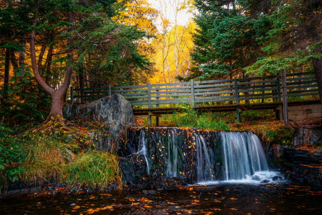 Bowring Park Waterfall in Autumn