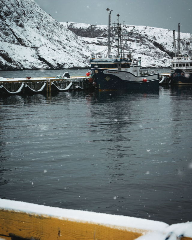 Snowfall In The Harbour