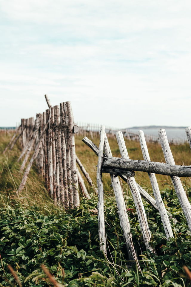 PAPA'S FENCE
