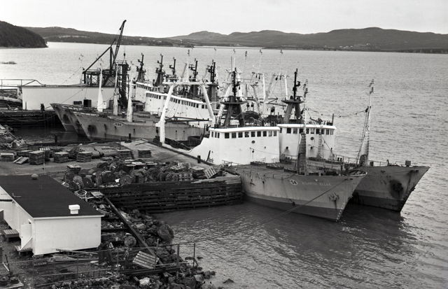 Atlantic Fish Processors Co. Ltd Stern Trawler Fleet at Marystown
