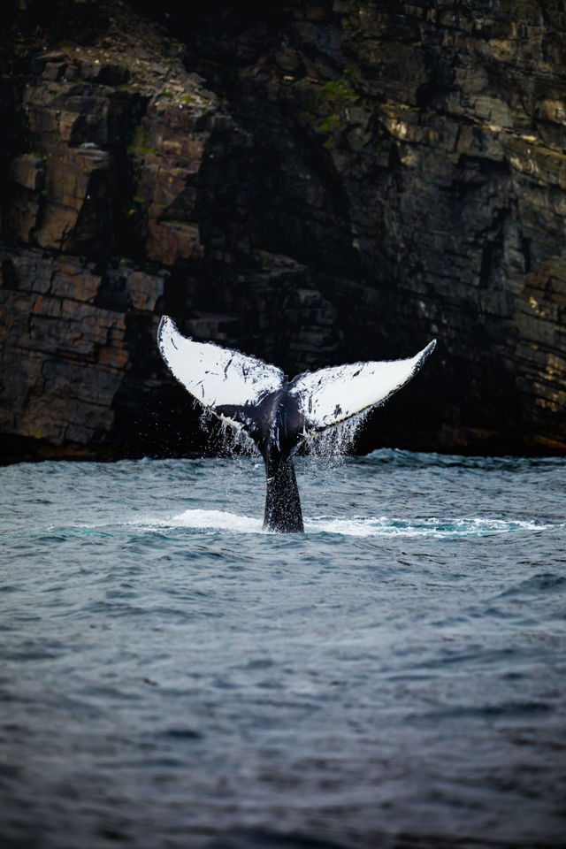 Whale Tail Waterfall