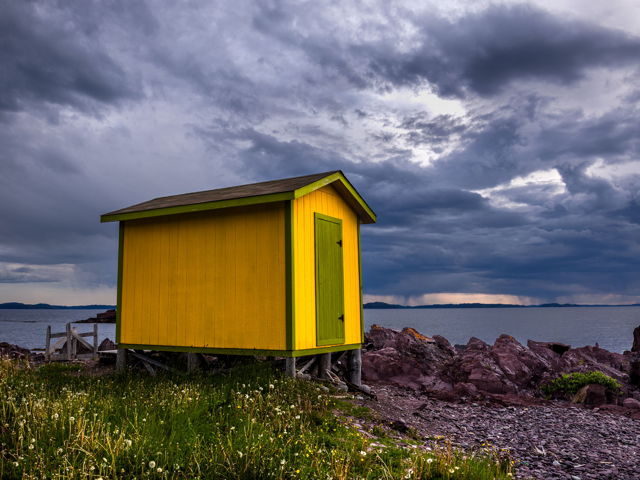 Weather The Storm