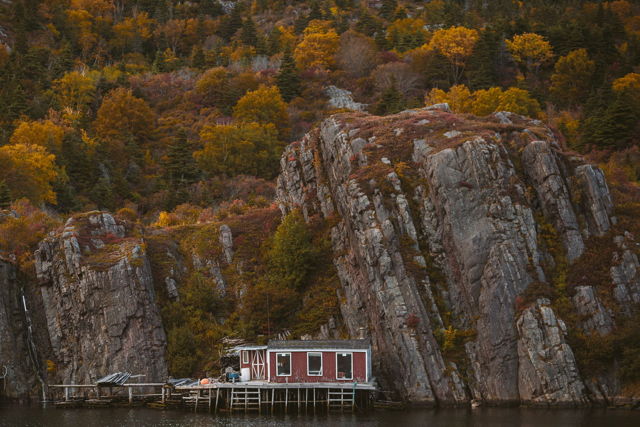Seeing Red in Quidi Vidi
