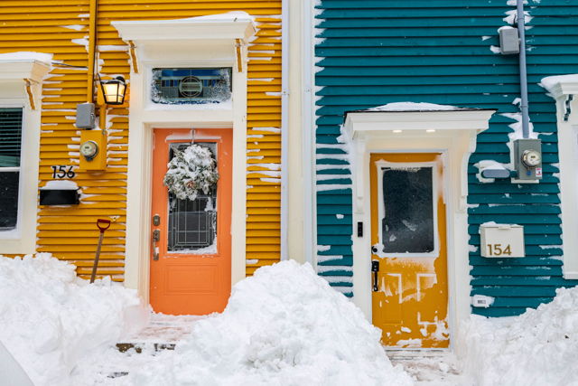 Storm Doors No. 8