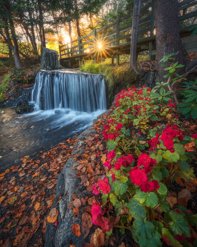 Fall Waterfall Bowring Park