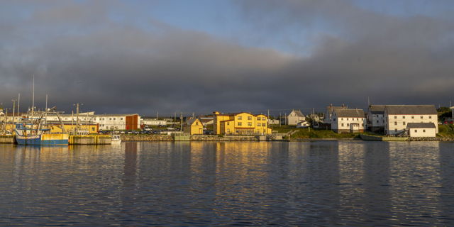 Golden Light on the Harbour