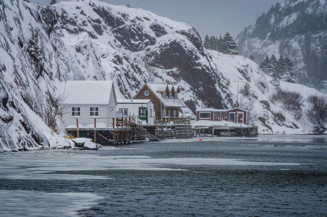 Quidi Vidi Wonderland