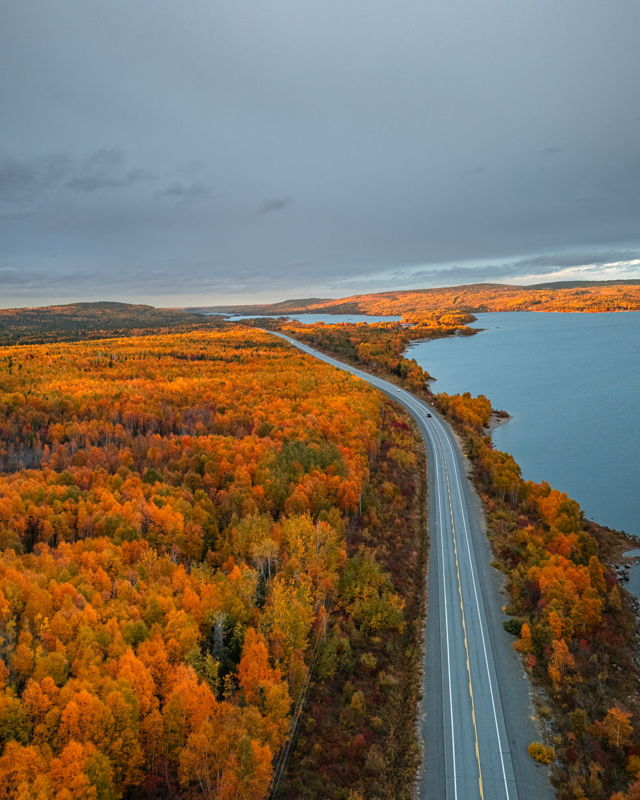 The Golden Passage An Autumn Escape