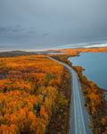 The Golden Passage An Autumn Escape