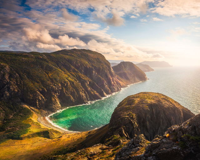 Cedar Cove View