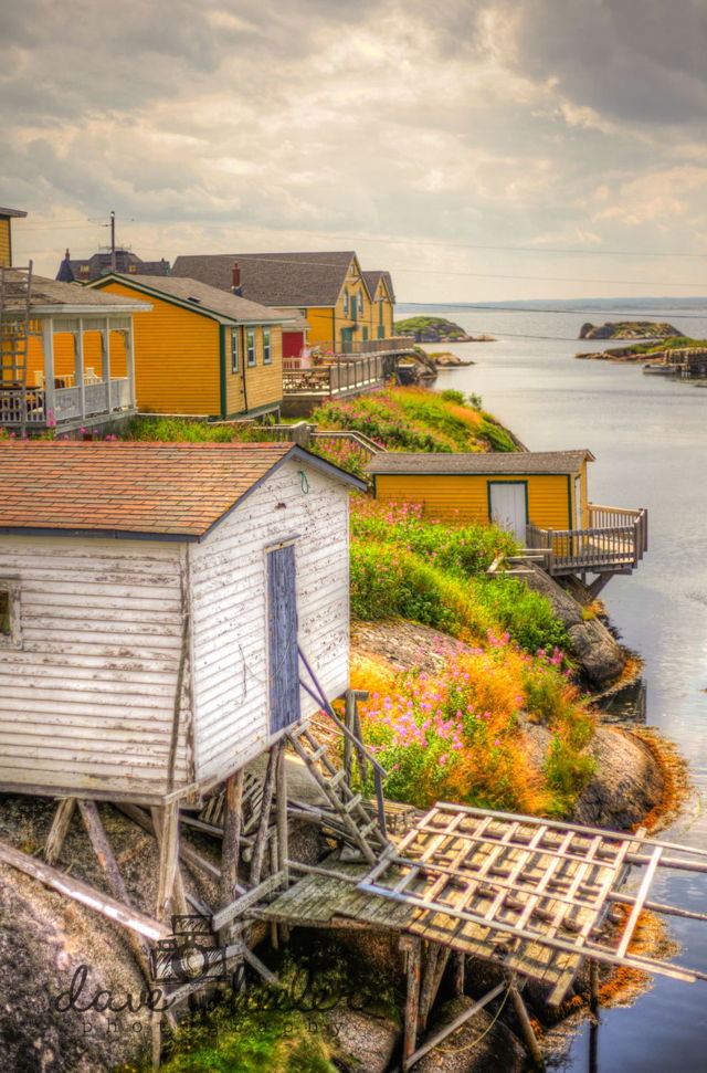 Newfoundland scene