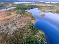 inland Barrens