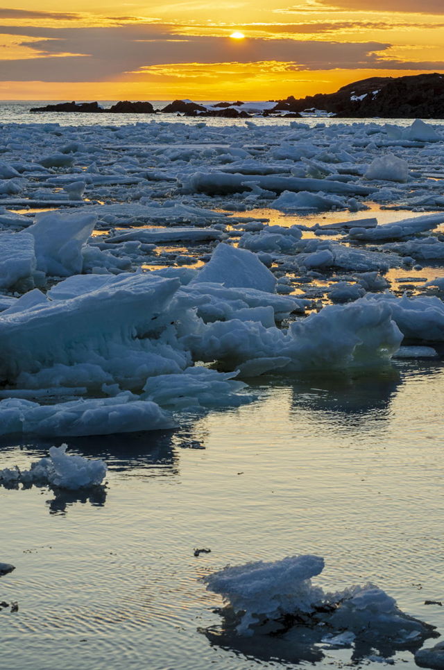 Icy Sunset Vertical