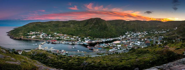 Petty Harbour Gold