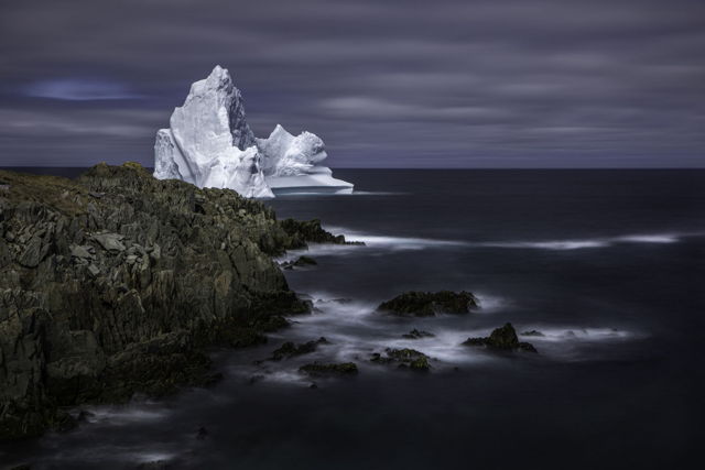 Iceberg Coast