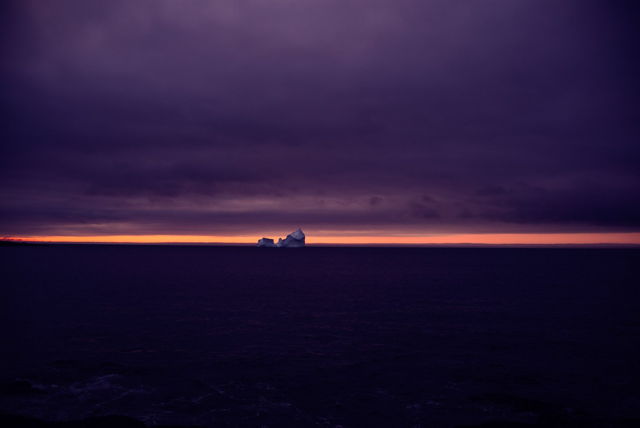 Ferryland Ice 4