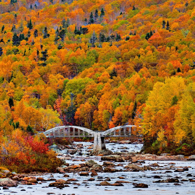 Pipers Hole River