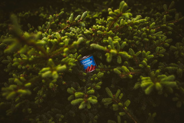 Foraging in Vienna