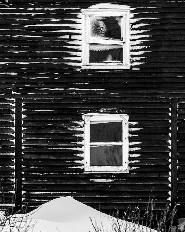 Face of winter