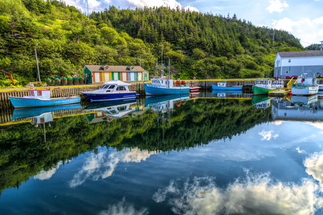 Ship Cove Reflection