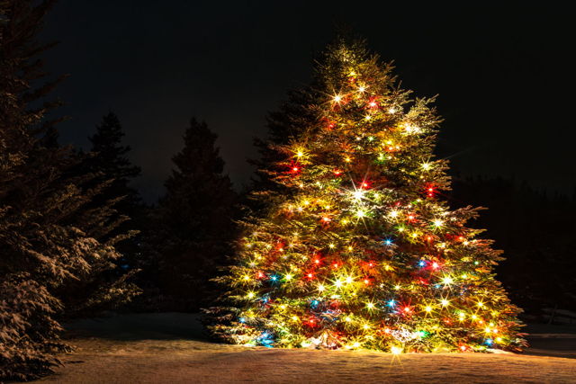 Season's Greetings