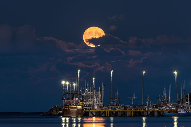 Harvest Moon W,  St. John's