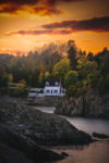 Fall Colours In Brigus
