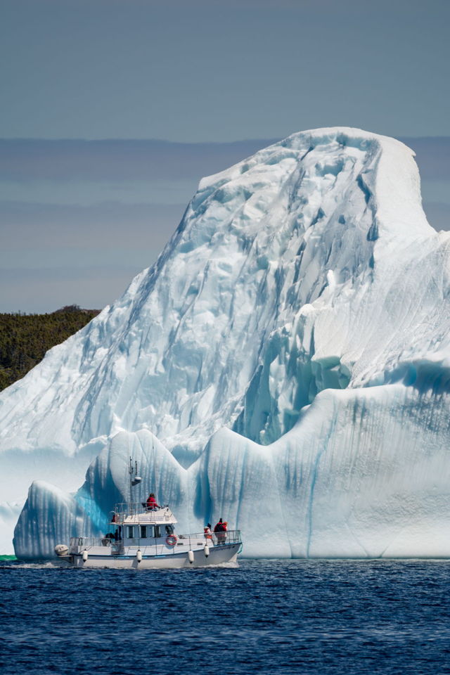 Arctic Daydream