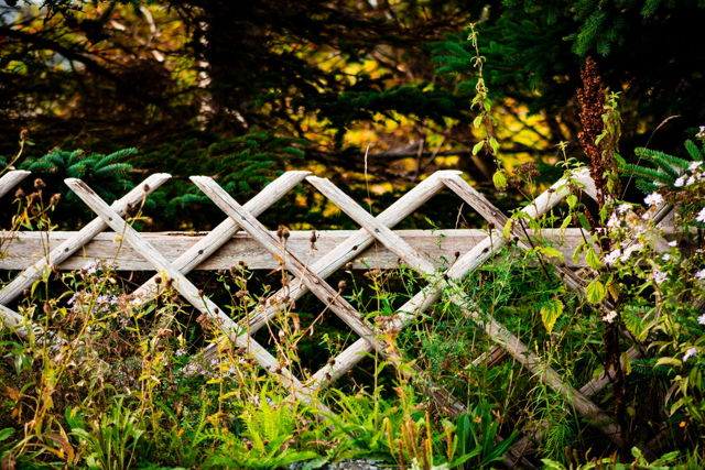 Keep Out