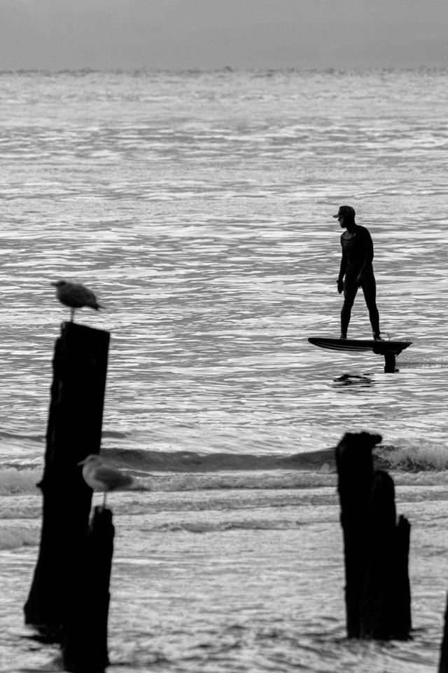 Surfer and Gulls