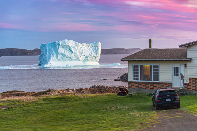 Backyard Iceberg Newfoundland