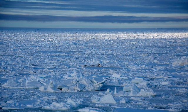 Northern Ice in May - Oliver's Cove Head -- Tilting