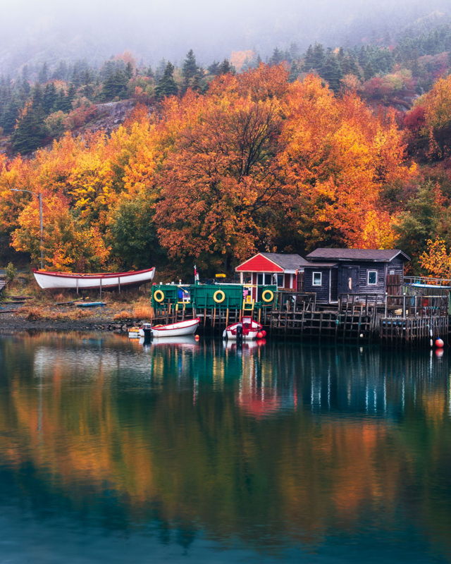 Fall Foggy Scene Quidi Vidi