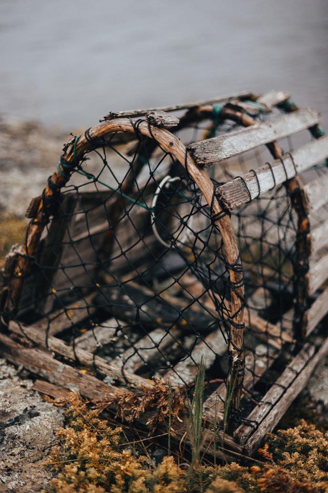 Lonely Lobster Pot