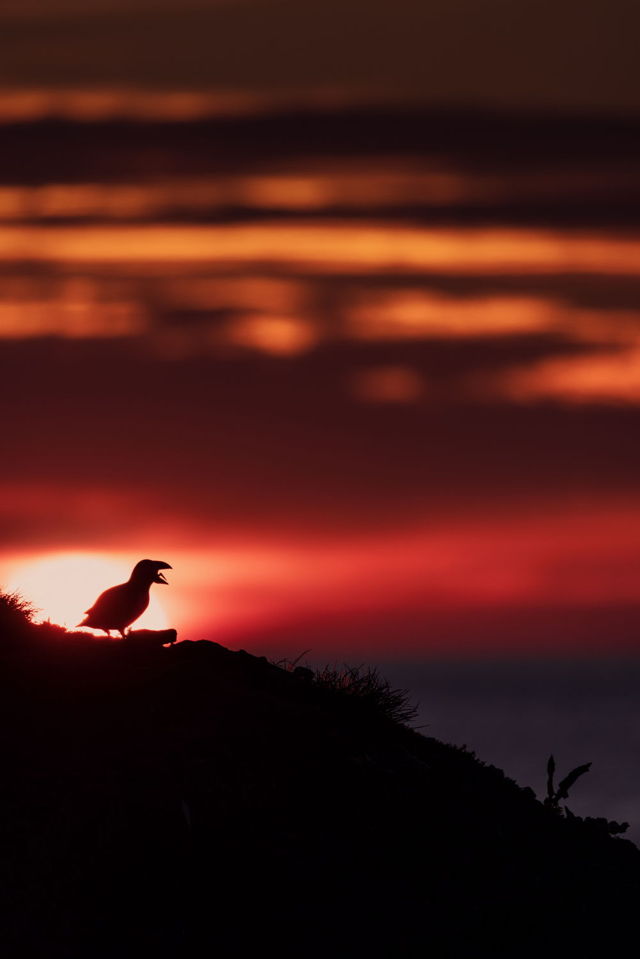 First Light, Last Word