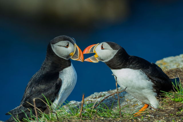 Give me a kiss