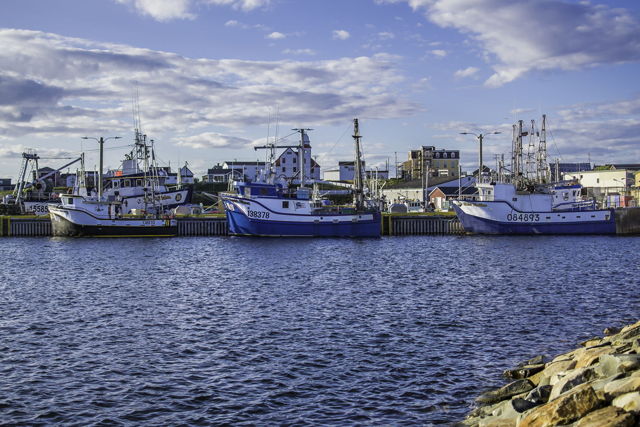 Boats Of Bonavista
