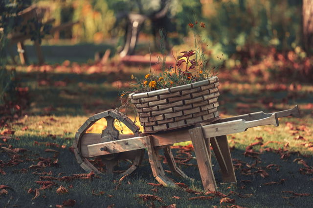 Wagon of Flowers