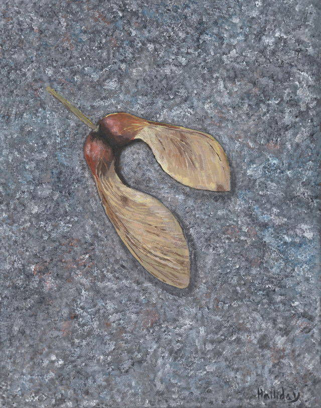 Maple Seeds, 2021