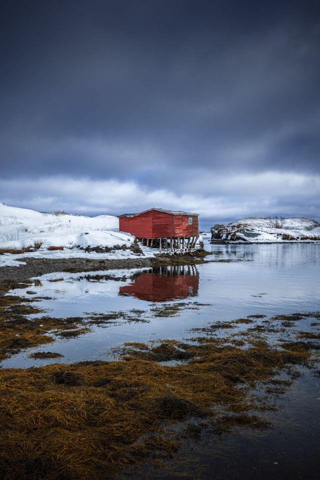 Winter Sky