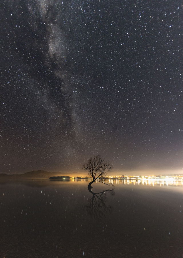 That Wanaka Tree Milky Way
