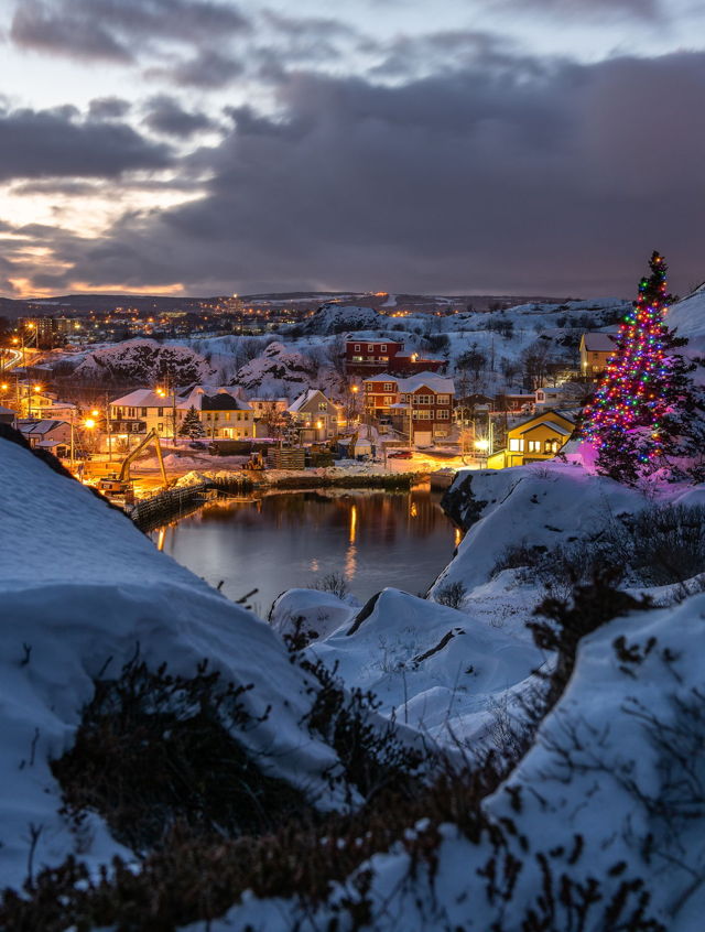 Quidi Vidi Christmas 2018