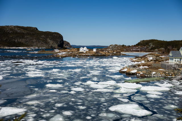 Pack Ice