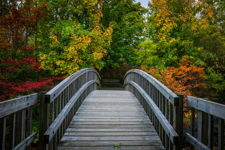 Rennie's River Bridge