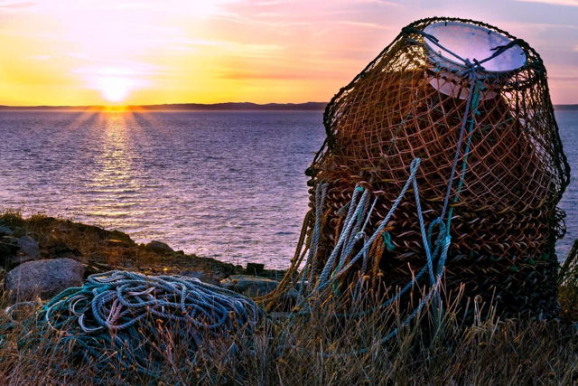 Crab Pots Sunset