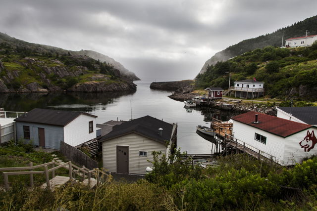 Quidi Vidi on a Mauzy Day