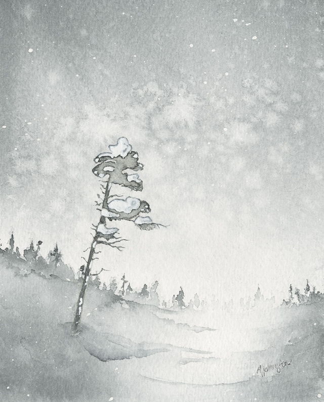 Snow Squall