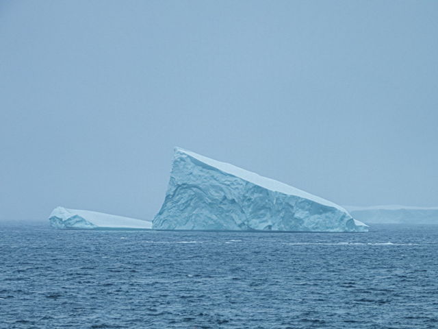 Embrace the majestic beauty of Twillingate's Iceberg Season