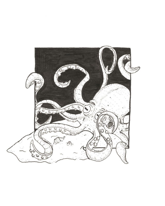 Octopus
